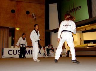 L'esibizione sportiva della scuola Tiger